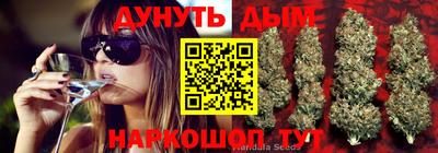 скорость Владимир