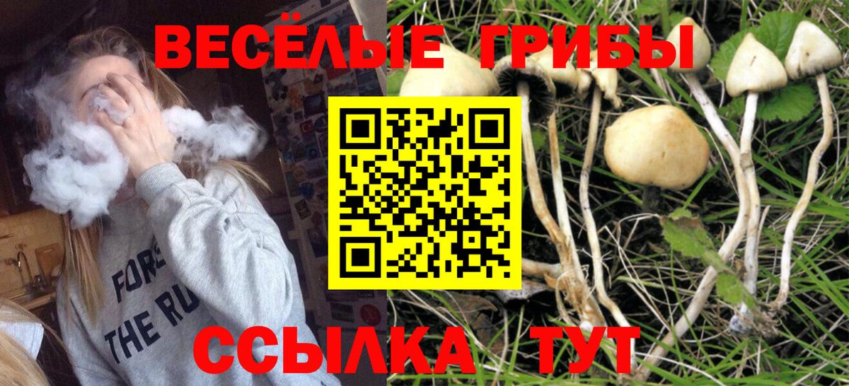 Псилоцибиновые грибы GOLDEN TEACHER  Вход с VPN  Ахтубинск 